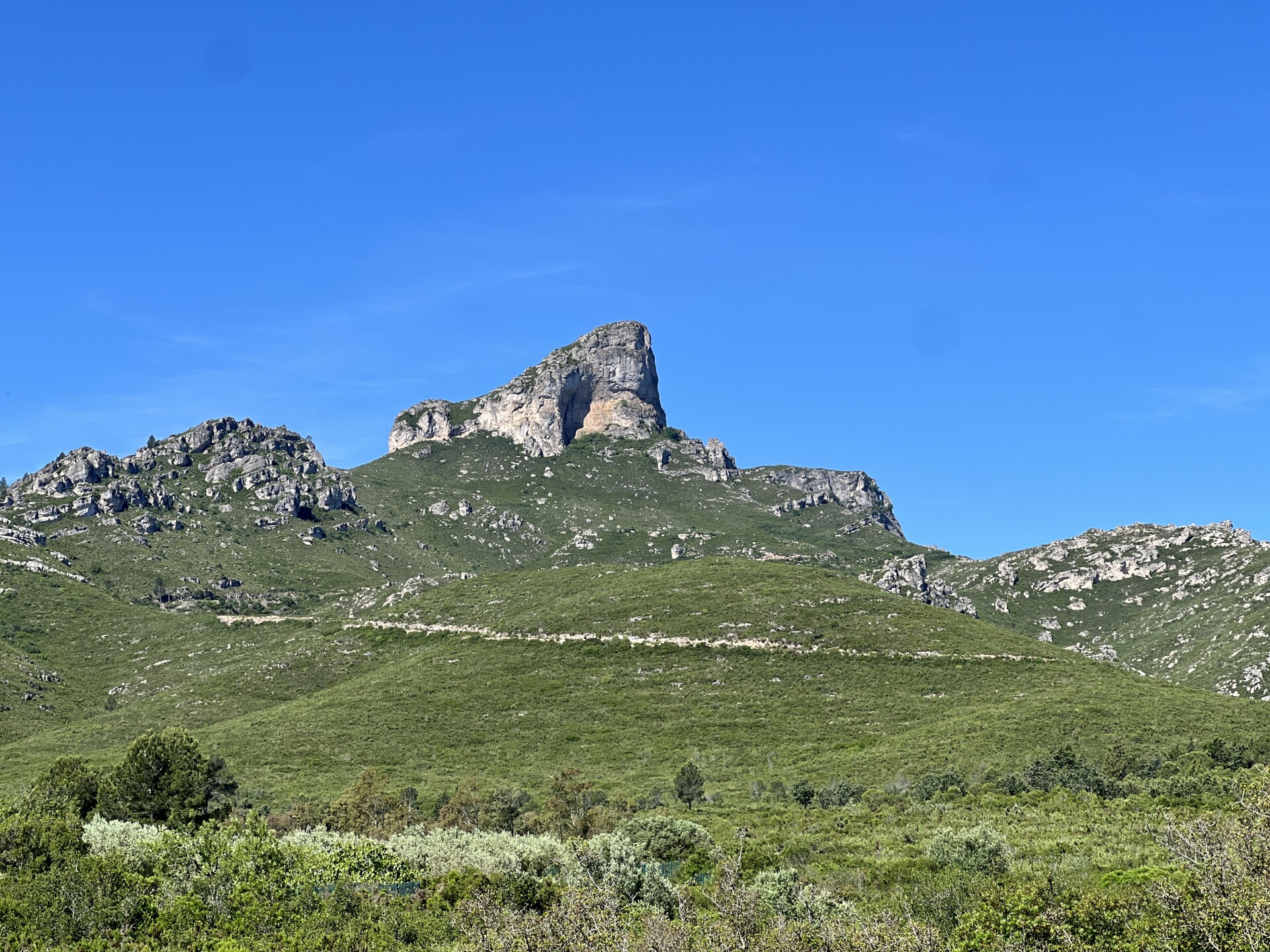 IMG 0917